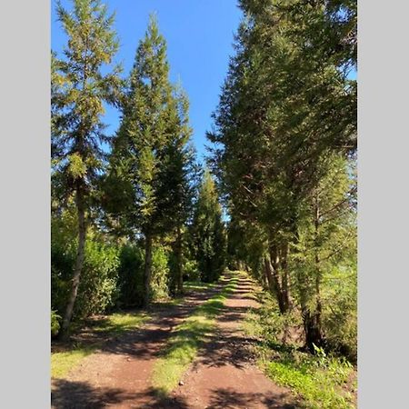 Agreable Chalet Au Milieu Des Sapins لا بلين دو كافريه المظهر الخارجي الصورة