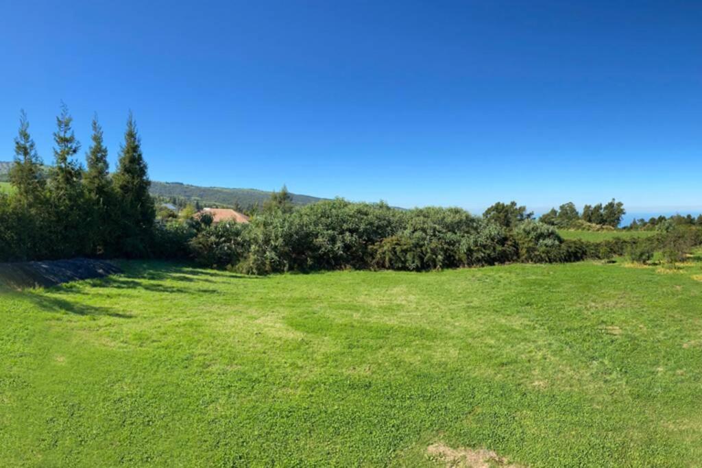 Agreable Chalet Au Milieu Des Sapins لا بلين دو كافريه المظهر الخارجي الصورة